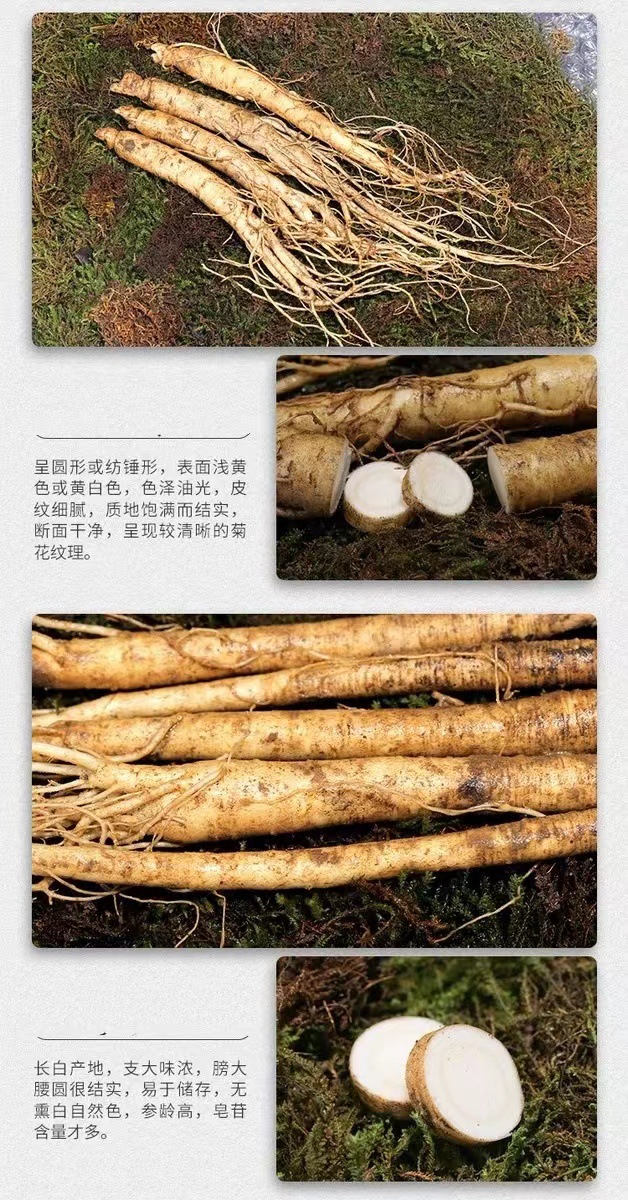 84ce793d498311c51583d0d5f83ff7