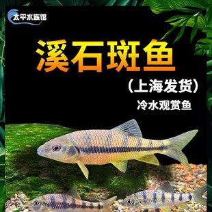 �t��Ϫʯ���~����ⴽ�~С��Ϫ���~ԭ����ˮ�~��ˮ�^�p�~���B�ͻ�