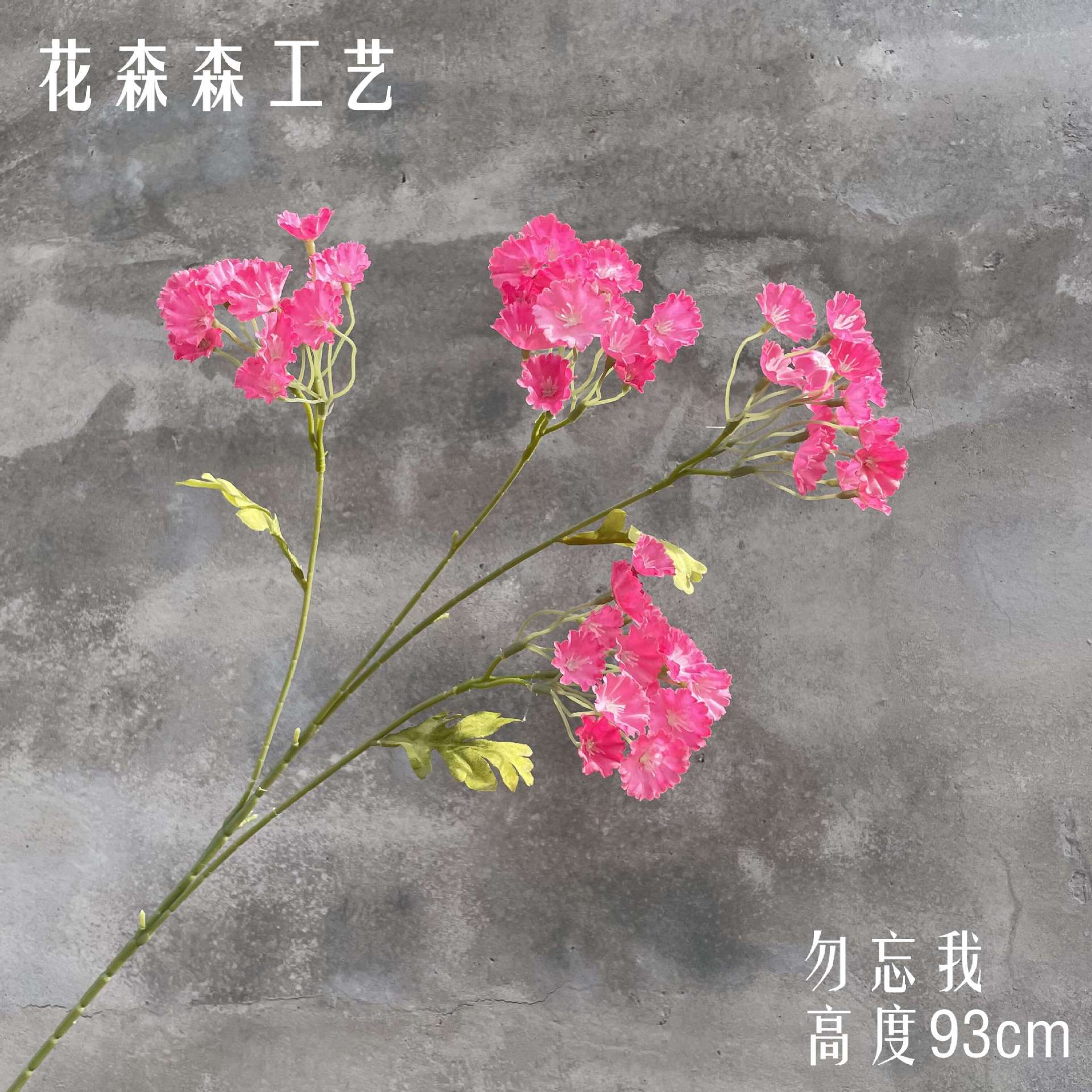 잊어 버려-나-아닌 112122