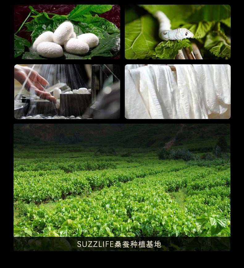 e7ec8a2c-be25-41c4-96fb-c4e530904eef.jpe