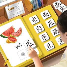 幼儿识字书儿童认字启蒙早教安静书幼儿园宝宝益智认知片玩具