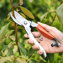 �ܽ���؛Դ���������@�ֹ����ޘ�֦�����t���z���t÷��֦��