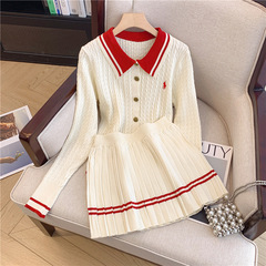 初秋の新型婦人服のニットセット
