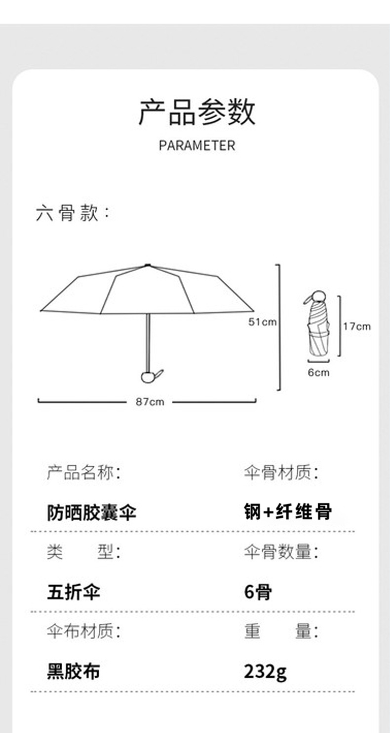 6骨