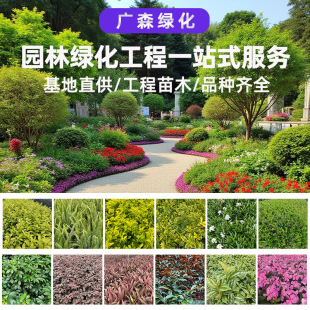 �߽���ر���Ʒ�N�Rȫ�@�־G�����������ֲ��������ľ���صďS��