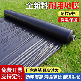 跨境PE聚乙烯农用黑色保温大棚膜地膜蔬菜遮光塑料薄膜抗撕裂商用
