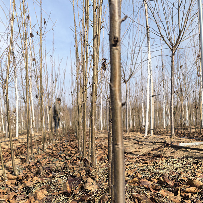 c98a44e9-aaa1-4879-b67a-be0068