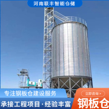 现货供应1000吨装配式粮仓 专业生产厂家联丰 平底锥底钢板仓