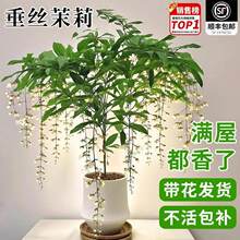 ���z�������Ԏ������k���҃�������B̩���L܇�����̨���ܾGֲ��