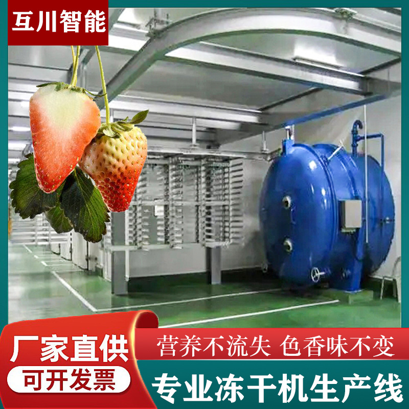 中小型冻干设备 商用海带牡蛎真空冻干机 拉丝蛋白真空冷冻干燥机