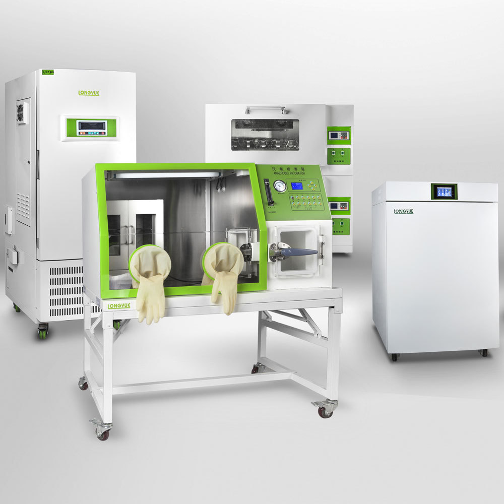 LAI-3系列厌氧培养箱厌氧生物箱真空胶厌氧包装