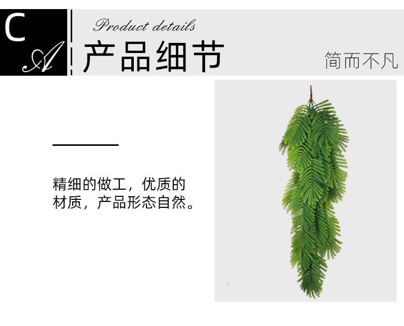 绿植墙壁挂