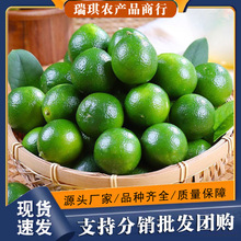 ���r�����������r�����С�����̲����ˬ���rˮ��С�������