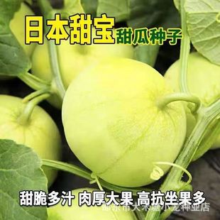 �ձ�����������ϷN����Ͻ�ϴ�������ˮ���N�Ӵ�ȫ��ȾG��ʯ