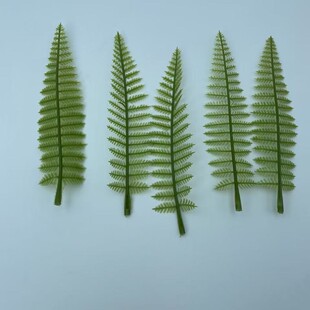 �β沨˹�� ���滨ˮ�ݰ������ �z�����컨����ˮ�����