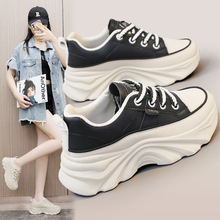 ¿eŮЬٴ2024ļ͸ߺƤrаЬϵЬŮ