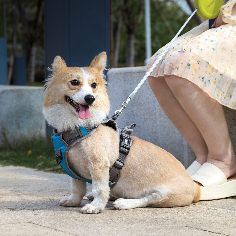 Pet pecho y suministros de espalda correa de perro transfronteriza Big Dog a prueba de explosiones correa de pecho perro cuerda Cadena de perro fábrica al por mayor