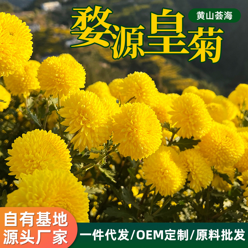 江西婺源皇菊散货批发厂家一手货源支持定制贴牌OEM罐装独立包装