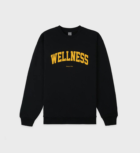 23 new winter style North American niche Sporty&Rich letter WELLNESS fleece women's sweatshirt sweatshirt