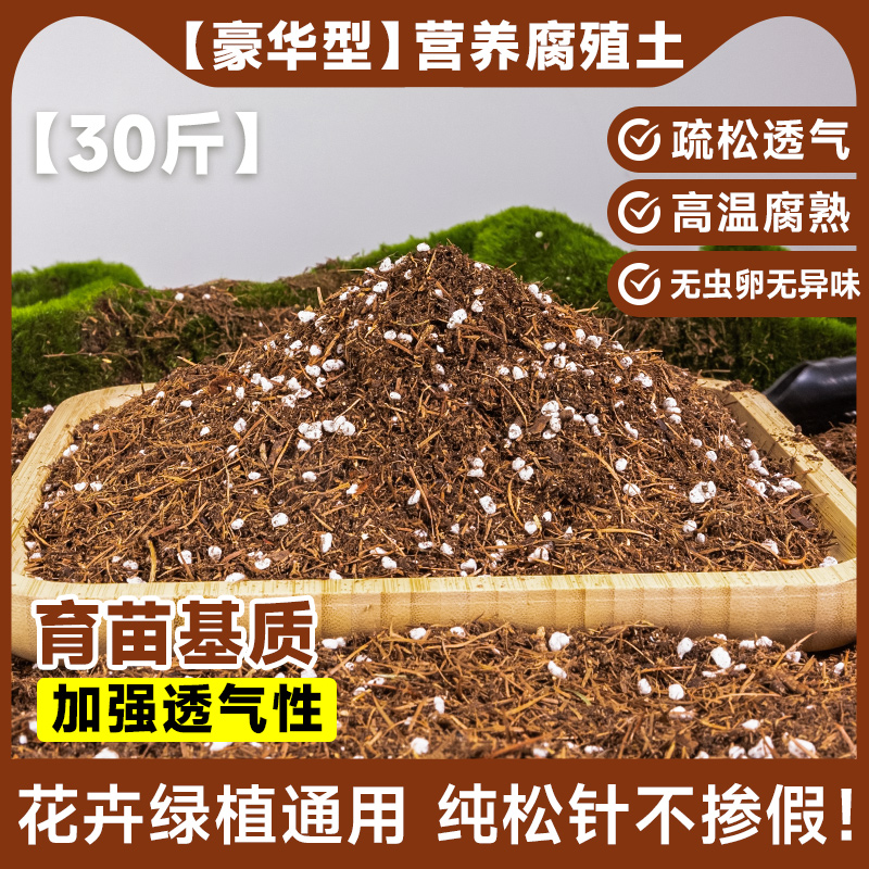 [명품] 영양소 소나무 바늘 허밍 토양 30 진 (종묘기질) 통기력 강화