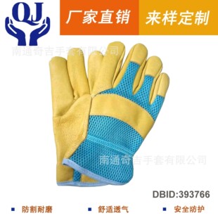 �S��ֱ�N   ���S�i�^�ӻ��@���� �ֱ��W�۲�