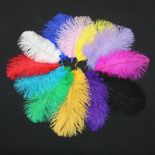 15-20cm�r�BëȾɫ�r�B��ë�҃Ȳ廨��ˇ��ë��ɫ