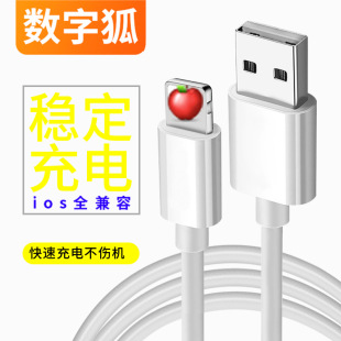 �m���O��lightning�֙C��늾�܇�dͶ����USB����X��˼������ݔ��