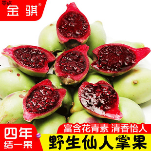 �����������r�t��Ұ�������ƹ������ґ������Ꭷϡ��Ź��Ʒˮ��