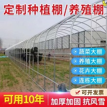 大棚骨架全套钢管蔬菜种植温室连体大棚养殖大棚鸡鸭鹅猪牛羊