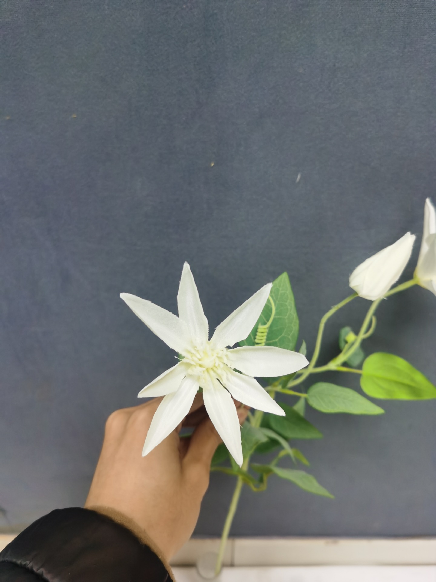 微信图片_202212141114033