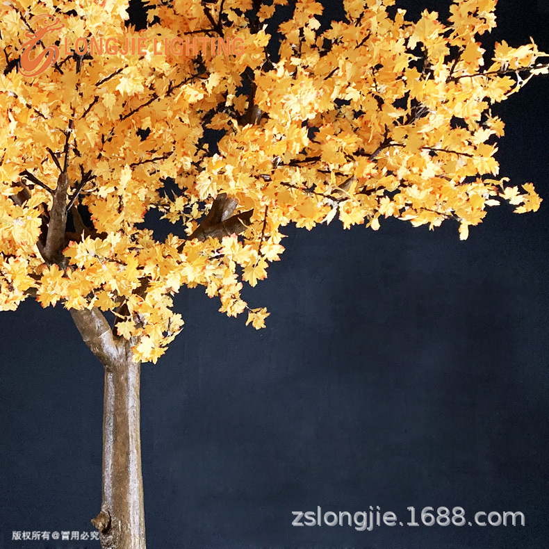 2592�Ƹ�3.5�� ��2.5�� LED�������� �߷���Ʒ�Ҷ�Ʒ�������