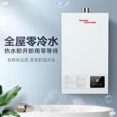 包邮家用燃气热水器花洒管洗澡煤气液化气天然气电磁阀配件大全|ms