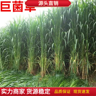 �����ظ߮a�޾��ݷN�Ӷ������߮a���ݷN������ݻ���ݷN�Ӱ��]