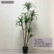 �����ָмt߅�F���ָ��~����Ѫ��ins�ҾӔ[�����ǧ��ľ���ֲ��