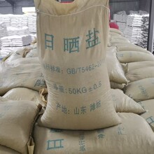 ���Iˮ̎�����}�Ȼ��c �Օ��}���l С���}ʳƷ����δ�ӵ⺣�}