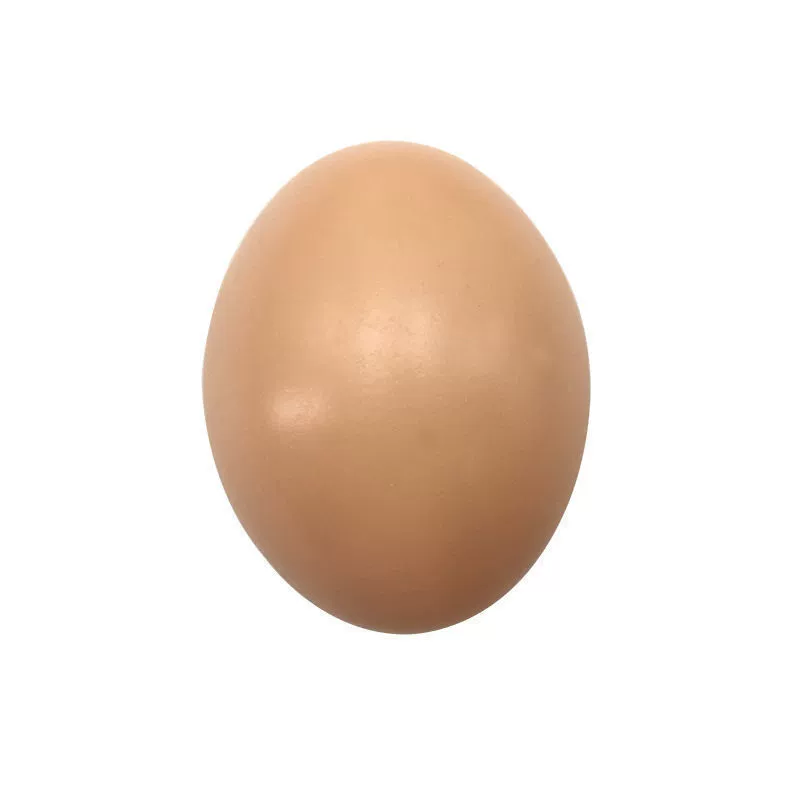 Реалистичная семейная нарисованная игрушка- lifelike?