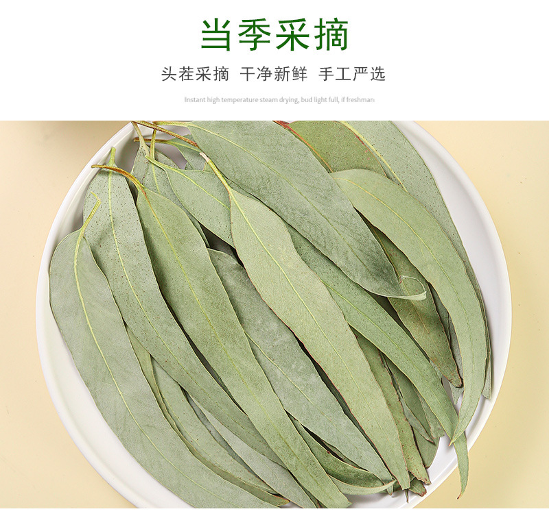 Eucalyptus Leaves (Eucalyptus globulus) — Dried Blue Gum Leaf for Sachets & Herbal Blends specifications