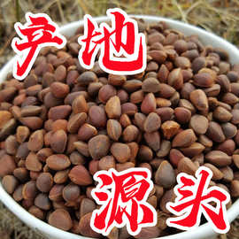 东北特产长白山松子850干货熟松子生松子坚果零食年货五斤批发