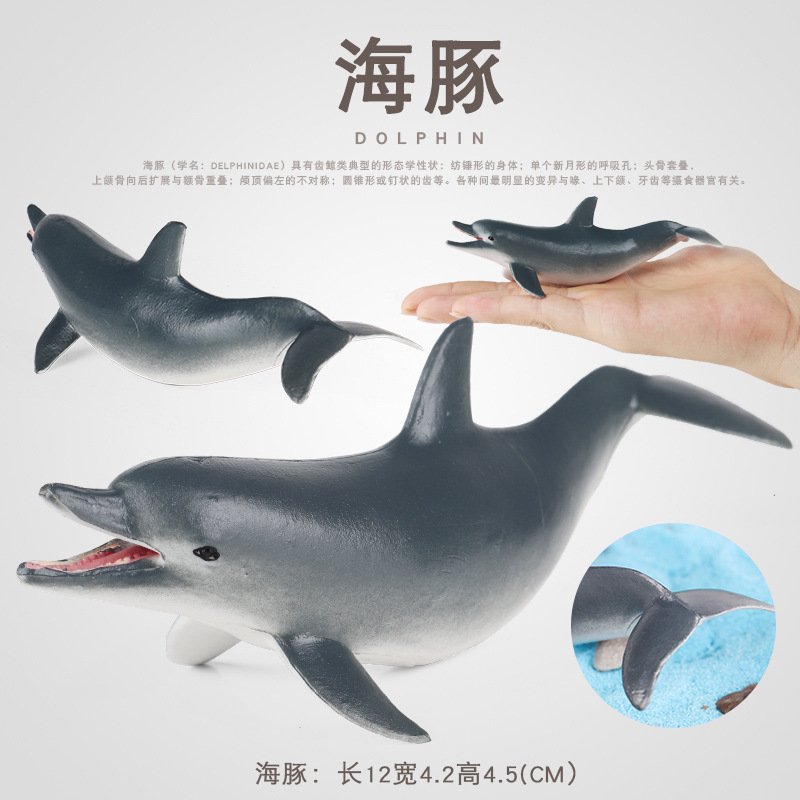 Simulated Real-Life Bottlenose Dolphin Marine Animal Toy Aquatic Mammal Model Plush Doll Children's Educational Cognitive Gift