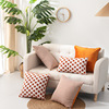 Cross -border INS Xuenier's flower pillow pillow pillow solid color background set home sofa bedside cushion cushion can be washed