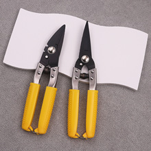 ���S�F؛�����FƤ�􏗻�䓾��ۼ�䓽z����65�i䓹��I늾�늹���