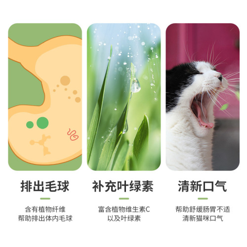 Manufacturer wholesale cat grass wheat seeds potted cats ready-to-eat hair ball tablets lazy cat snacks