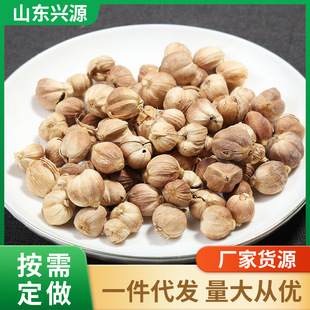 �ҺͰ�ޢ�� ���ÏN�������Ҝ��u���u���䷽�����ϻ�偵��ϰ׶�ޢ