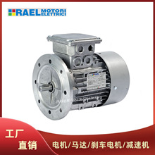 �����RAEL늙C�R�_����늙CRAEL Motori Elettrici