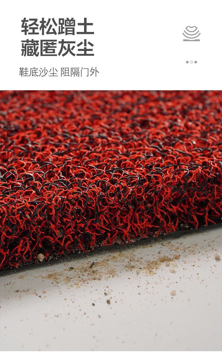 Thickened Silk Loop Floor Mat for Entryway, Customizable Door Mat, Entrance Door Mat, Carpet, Car Mat