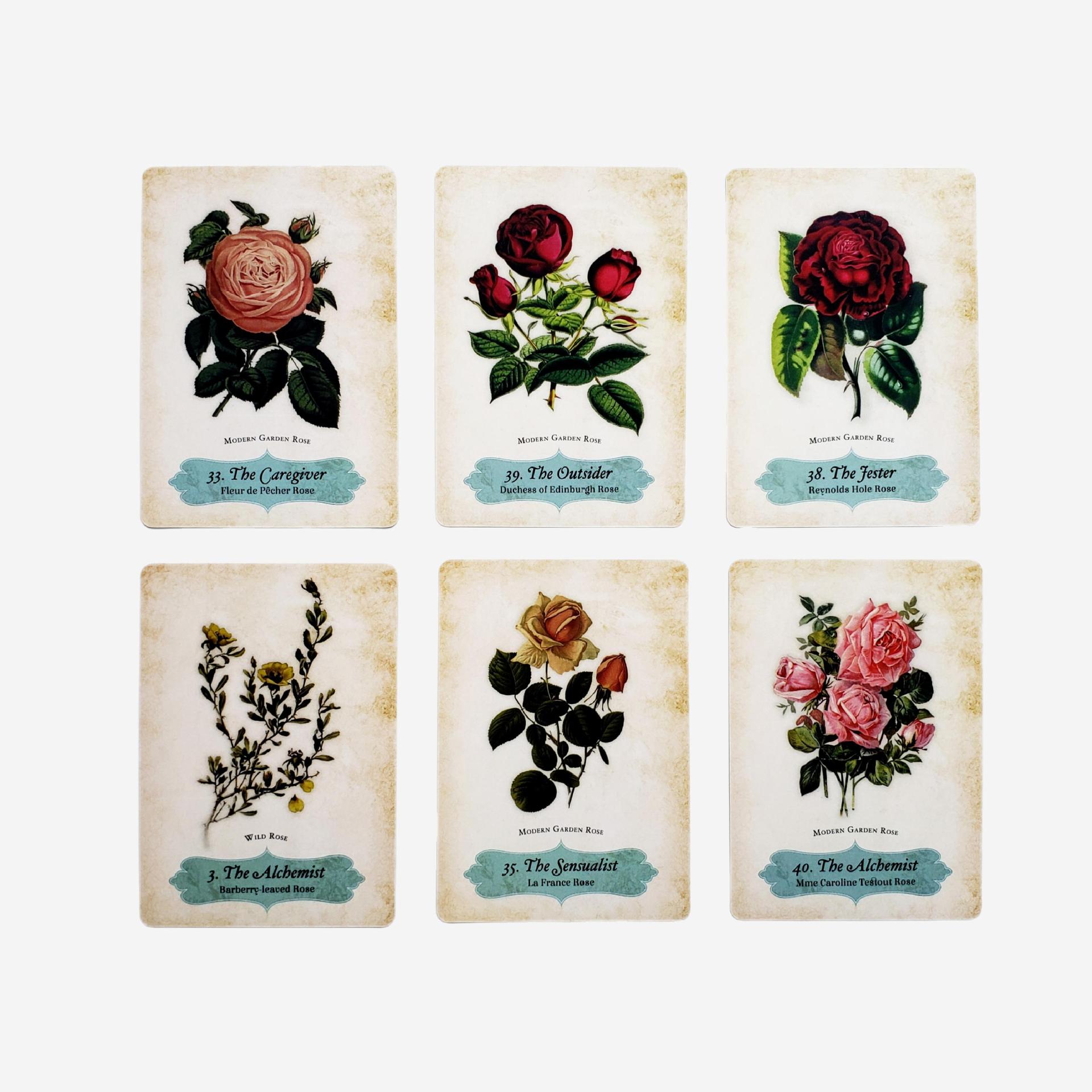 Oracle Of The Roses Card Game Party Games For Gatherings_voghion.com