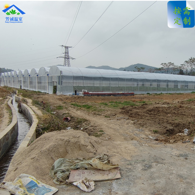 热镀锌管温室大棚骨架 养殖种植农场蔬菜大棚 简易蔬菜连栋棚供应
