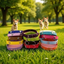 跨境宠物用品狗脖圈多色可选大中小型犬朋克风PU脚印款项圈