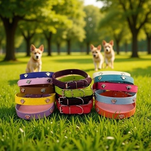 Cross-border Pet Products Dog Neck Ring Multi-color Optional Large, Medium and Small Dog Punk Style PU Footprint Collar