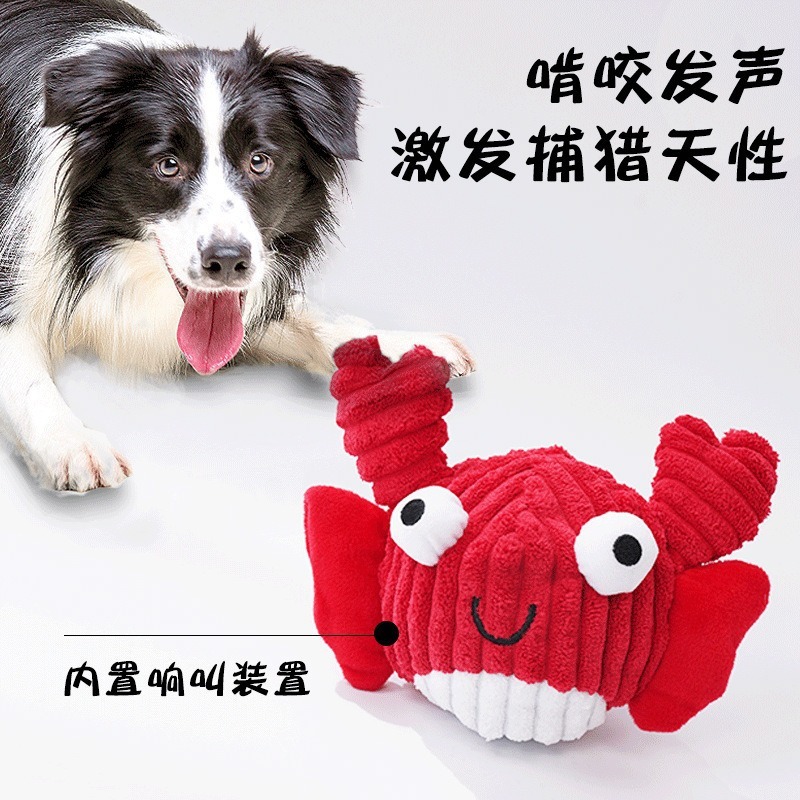 犬のおもちゃは歯ぎしりに耐えます。|undefined